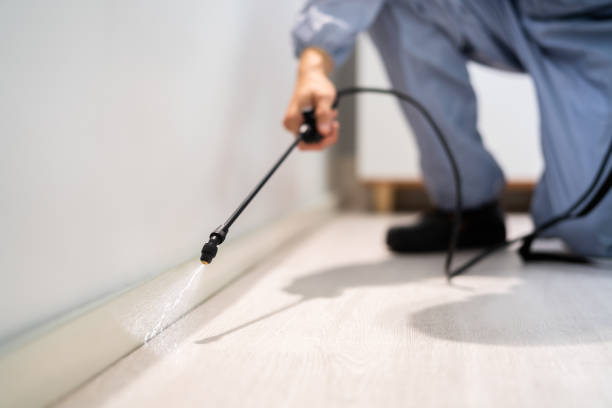 Licensed Fumigation Services service in Knox County County, TN - Nex Pest Control
